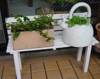 bench1-1.jpg